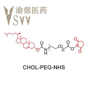 胆固醇-聚乙二醇-琥珀酰亚胺酯,CHOL-PEG-NHS
