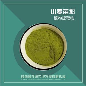 小麦苗粉,Wheat seedling powder