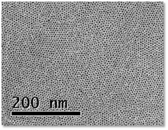 羧基PEG修飾的四氧化三鐵磁性納米顆粒,Carboxyl PEG modified ferrooxide nanoparticles