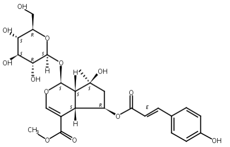 6-O-反式对香豆酰山栀苷甲酯,6-O-trans-p-Coumaroylshanzhiside methyl ester