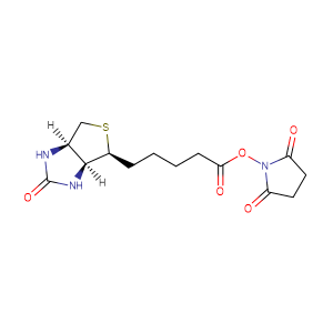 (+)生物素-N-琥珀酰亚胺基酯,Biotin-NHS