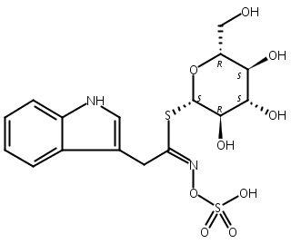 芸薹葡糖硫苷,Glucobrassicin