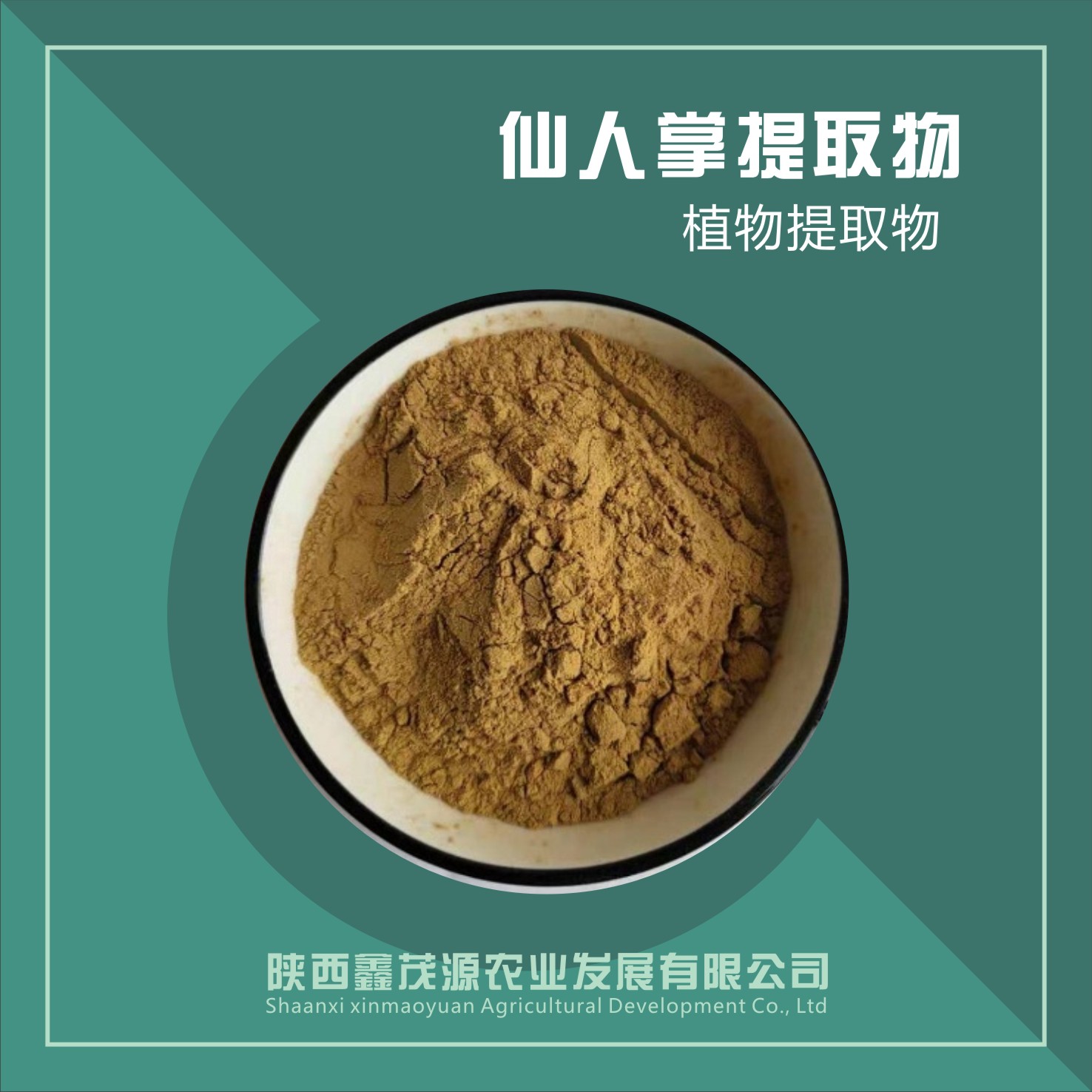 仙人掌提取物,Cactus extract