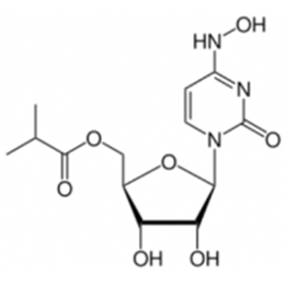 Molnupiravir