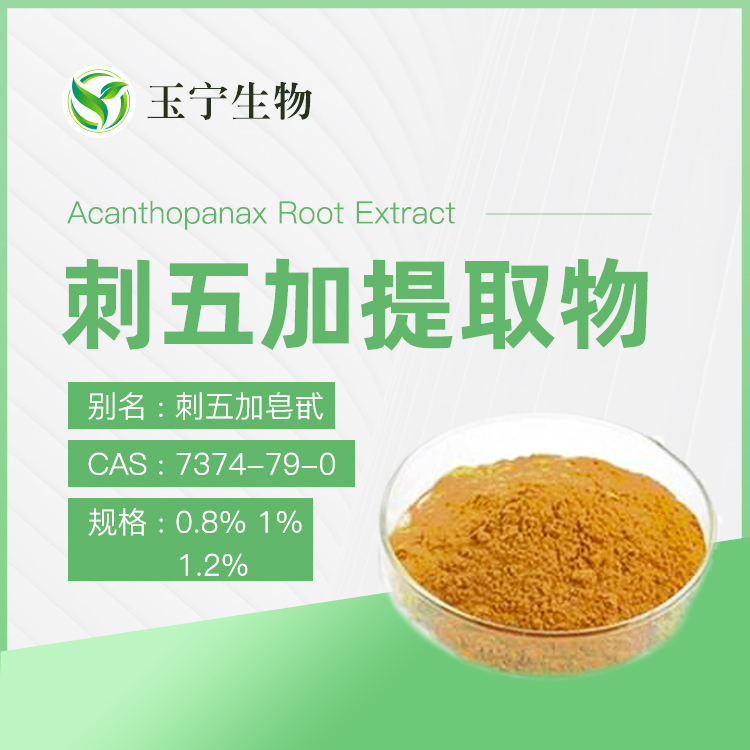 刺五加提取物,Acanthopanax Root Extract