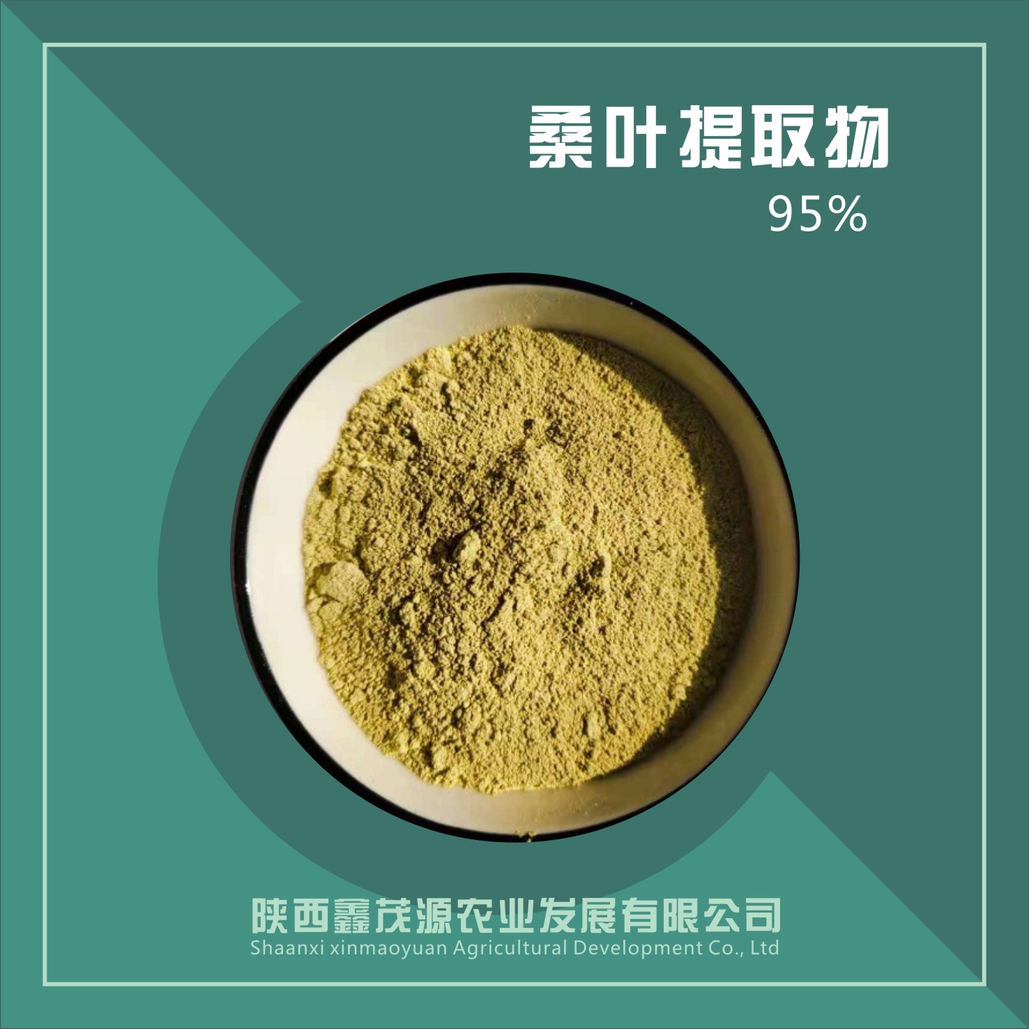 槐米提取物,Sophora japonica extract