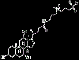 3-[3-(胆酰胺丙基)二甲氨基]丙磺酸内盐,3-((3-Cholamidopropyl)dimethylammonium)-1-propanesulfonate