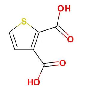 噻吩-2,3-二羧酸
