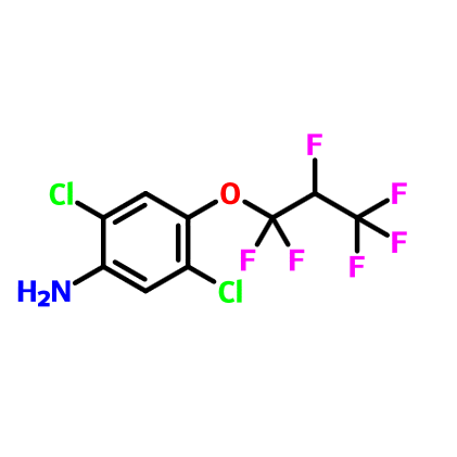 2,5-二氯-4-(1,1,2,3,3,3-六氟丙氧基)苯胺,2,5-Dichloro-4-(1,1,2,3,3,3-hexafluoropropoxy)benzenamine