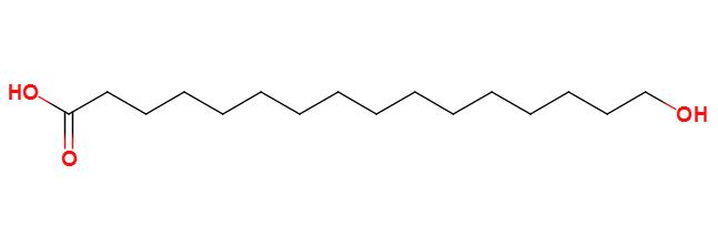 16-羟基棕榈酸,16-Hydroxyhexadecanoic acid