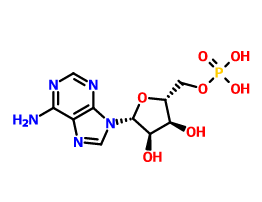 5'-腺苷單磷酸,Adenosine 5''-monophosphate