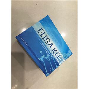 大鼠总胆固醇（TC）ELISA试剂盒