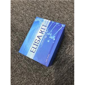 大鼠孕酮（PROG）ELISA试剂盒
