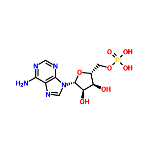 5'-腺苷单磷酸