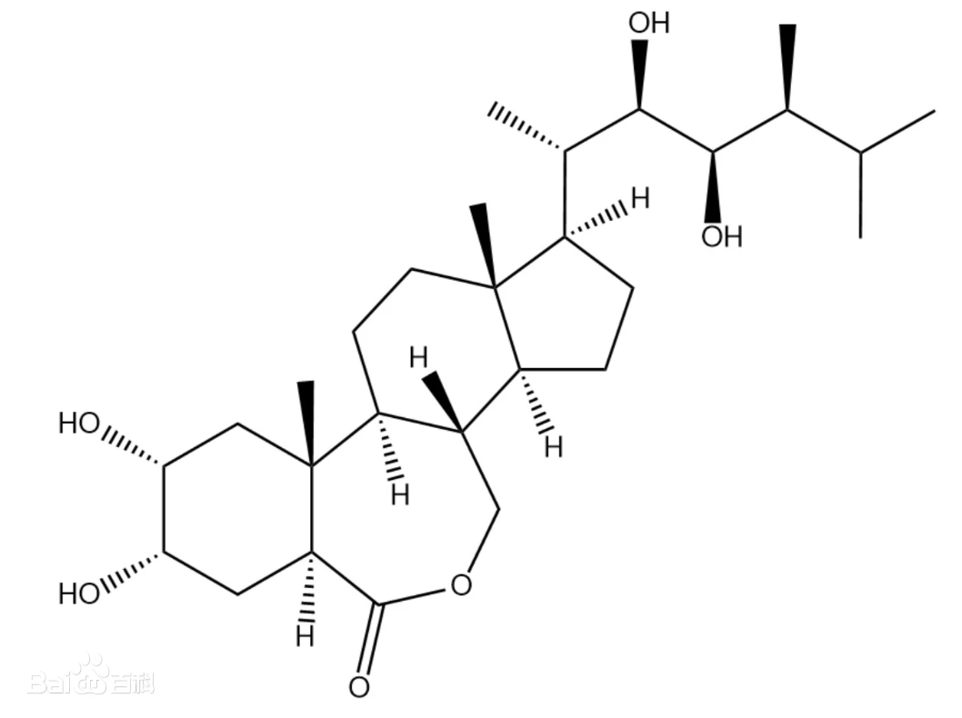 油菜素内酯,Brassinolide