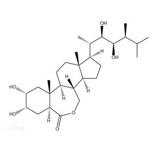 油菜素内酯,Brassinolide