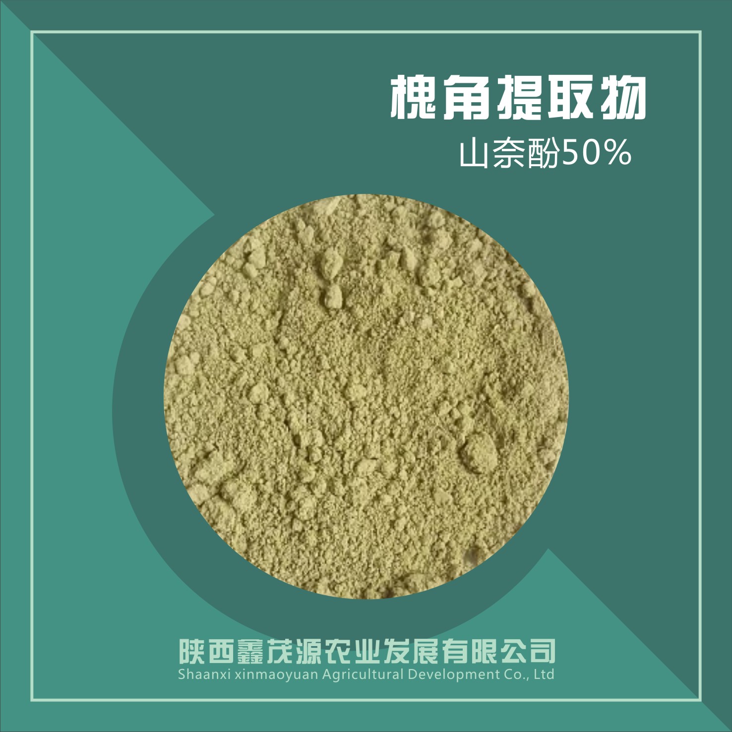 槐角提取物/山奈酚,Locust horn extract/Resurrectionlily phenol