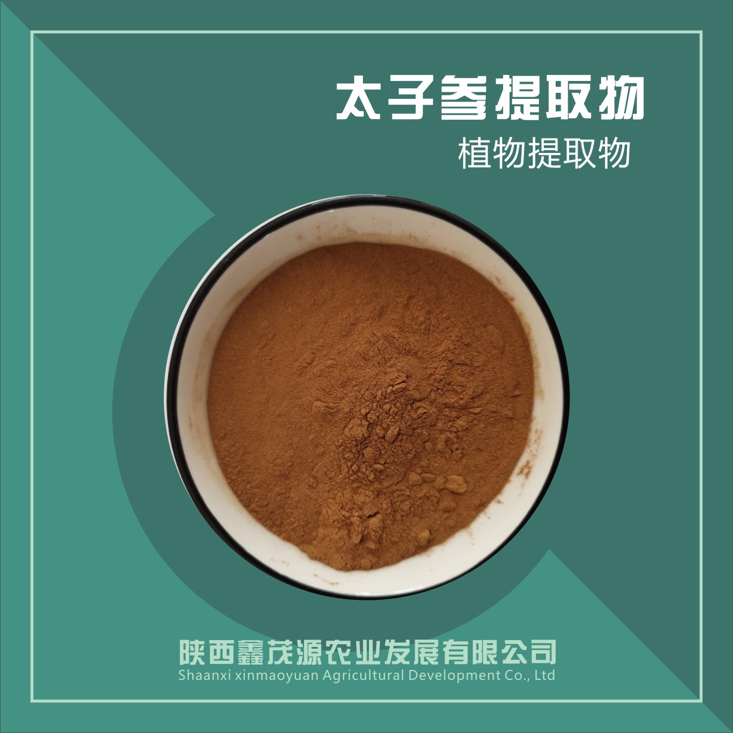 太子参提取物,Pseudostellariae Radix Extract