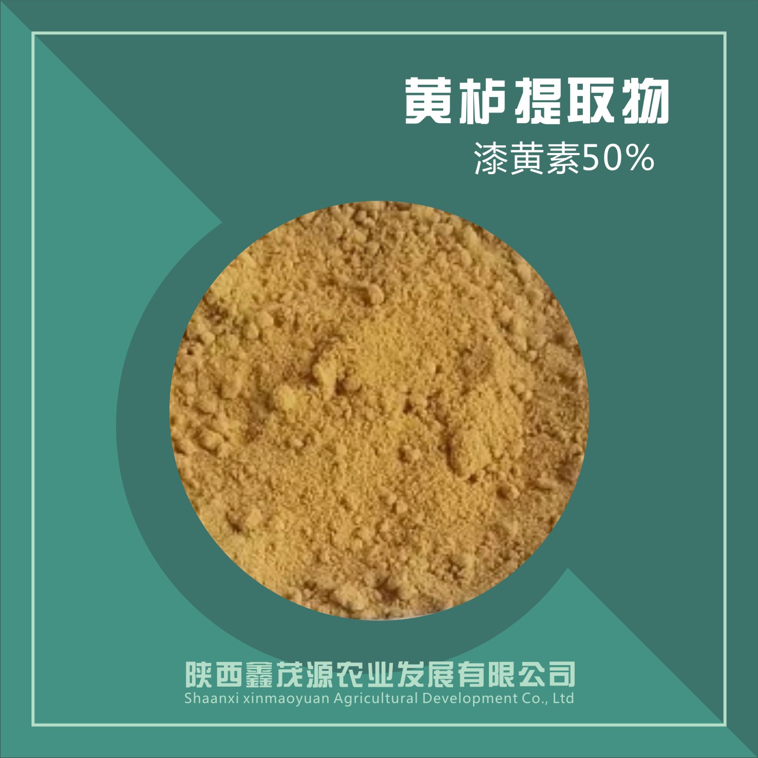 黃櫨提取物/漆黃素98%,Cotinus extract/lutein 98%