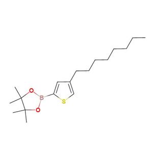 4-正辛基-2-(4,4,5,5-四甲基-1,3,2-二氧硼戊环-2-基)噻吩