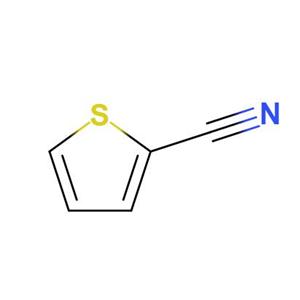 2-氰基噻吩,2-Cyanothiophene