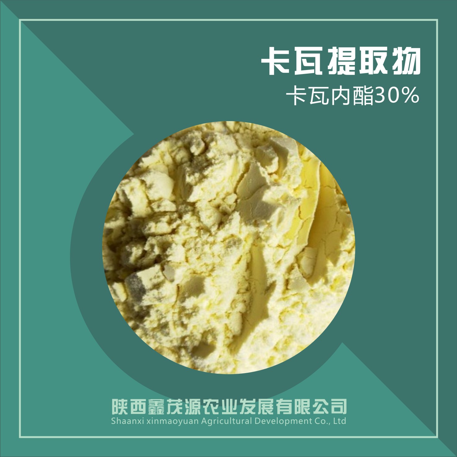 卡瓦提取物,Kava extract