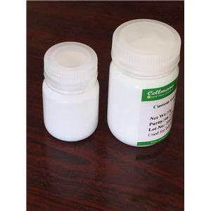 Palmitoyl Dipeptide-6