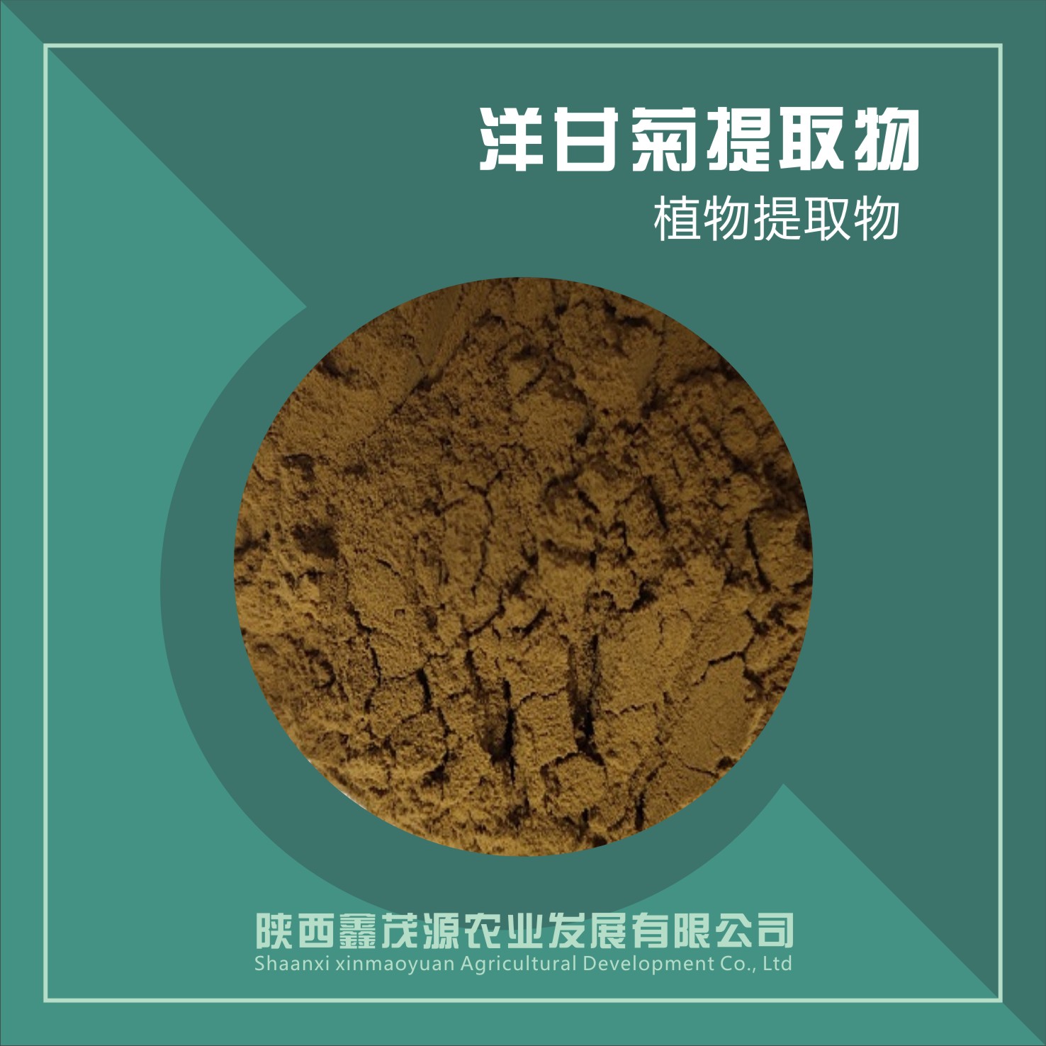 洋甘菊提取物,Chamomile extract