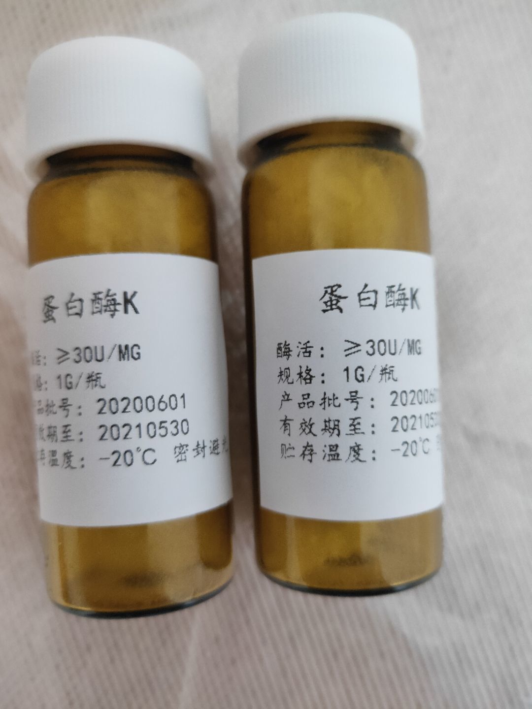 蛋白酶K,Proteinase K