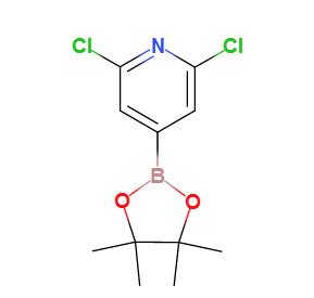 2,6-二氯吡啶-4-硼酸频哪醇酯,2,6-Dichloropyridine-4-boronic acid, pinacol ester