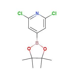 2,6-二氯吡啶-4-硼酸频哪醇酯