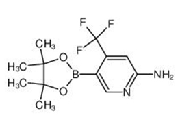 2-氨基-4-三氟甲基-5-吡啶硼酸哪醇酯,5-(4,4,5,5-Tetramethyl-1,3,2-dioxaborolan-2-yl)-4-(trifluoromethyl)pyridin-2-amine