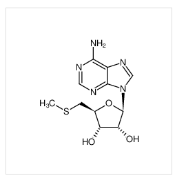 5-脱氧-5-甲硫腺苷,5′-Deoxy-5′-(methylthio)adenosine