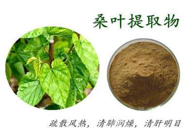 桑叶提取物   桑葚提取物   桑白皮提取物,Mulberry Leaf Extract