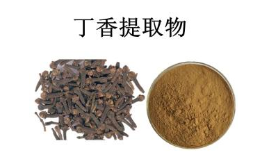 丁香提取物    丁香浓缩提取物    丁香粉,Flos Caryophyllata Extract