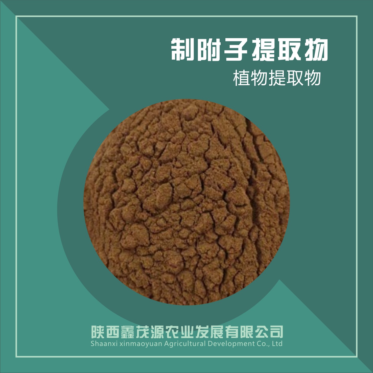 制附子提取物,Preparation of aconite extract