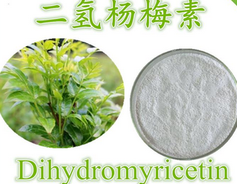 藤茶提取物,Dihydromyricetin