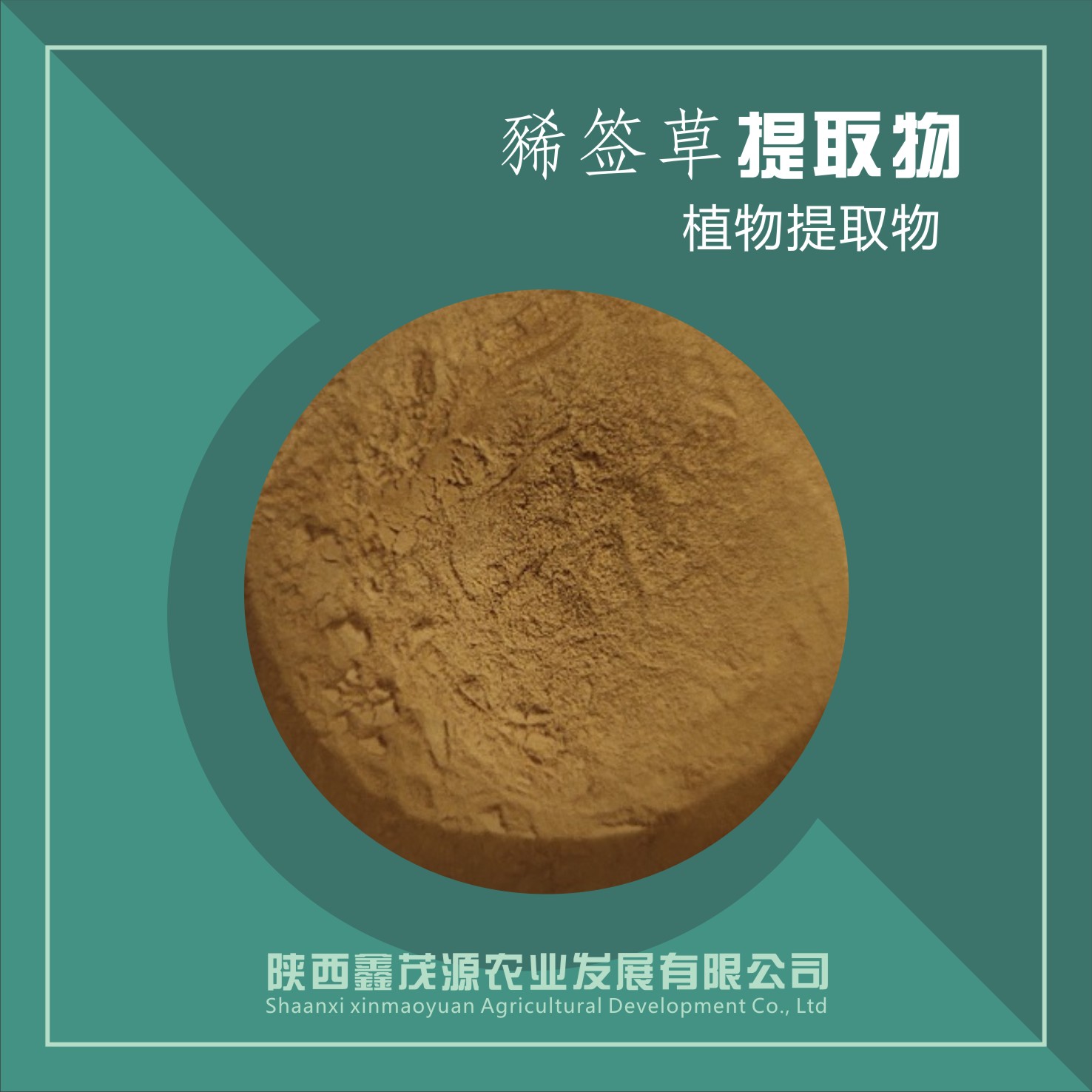 豨莶草提取物,Herba Siegesbeckiae extract