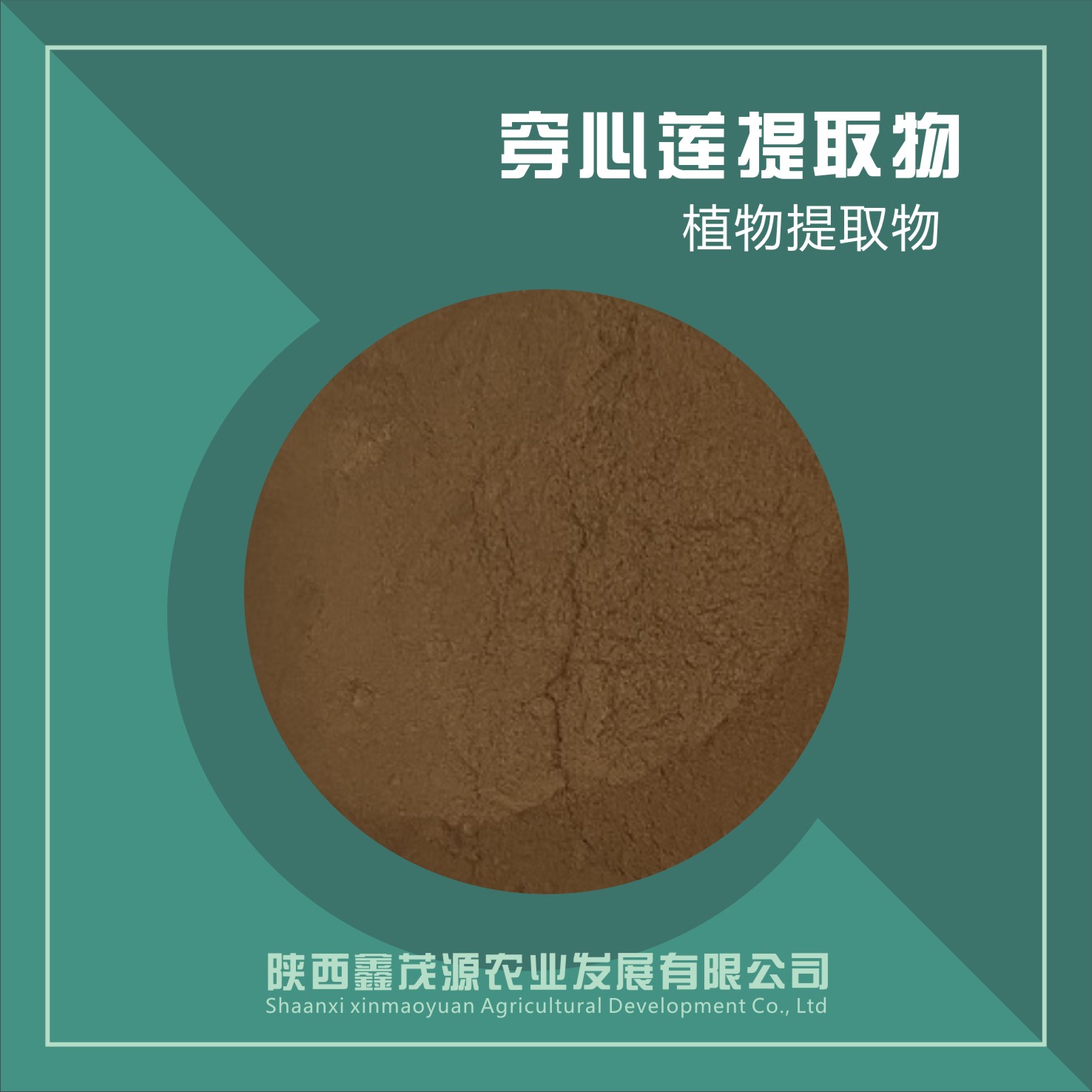 穿心莲提取物,Andrographis extract