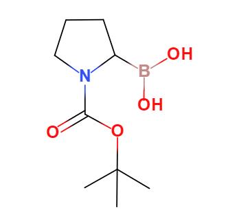 N-叔丁氧羰基吡咯烷-2-硼酸,1-N-Boc-Pyrrolidin-2-ylboronic acid