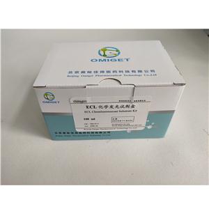 化学发光液（ECL）试剂盒