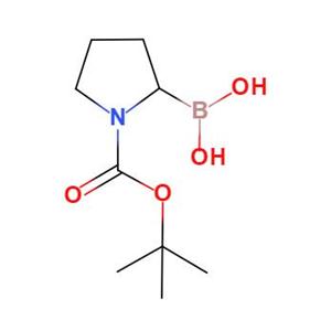 N-叔丁氧羰基吡咯烷-2-硼酸,1-N-Boc-Pyrrolidin-2-ylboronic acid