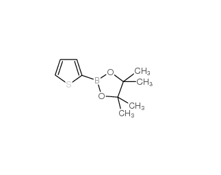 2-噻吩硼酸頻哪醇酯,4,4,5,5-tetramethyl-2-thiophen-2-yl-1,3,2-dioxaborolane