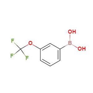 3-(三氟甲氧基)苯硼酸,[3-(trifluoromethoxy)phenyl]boronic acid