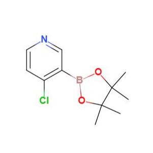 4-氯吡啶-3-硼酸频哪酯