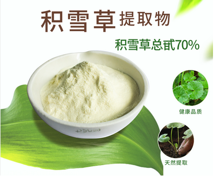 積雪草提取物,Hydrocotyle asiatica extract