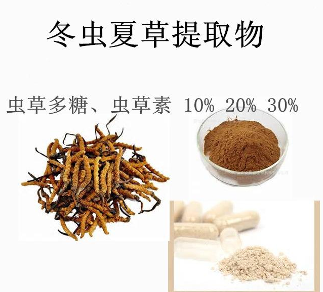 冬虫夏草提取物,chongcaoduitang