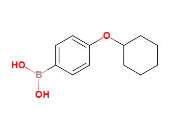 4-环己氧基苯硼酸,[4-(Cyclohexyloxy)phenyl]boronic acid