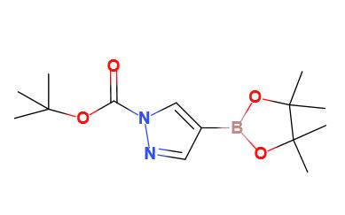 1-Boc-吡唑-4-硼酸频哪醇酯,1-Boc-4-pyrazoleboronic Acid Pinacol Ester