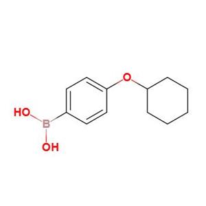 4-环己氧基苯硼酸,[4-(Cyclohexyloxy)phenyl]boronic acid